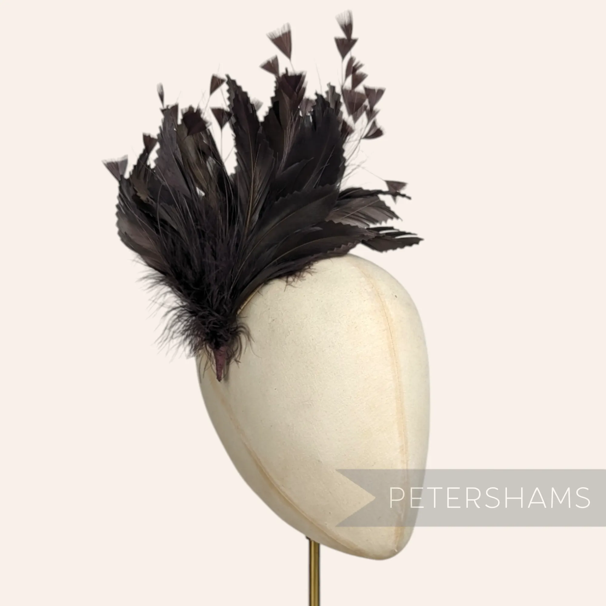 Large Zig Zag Goose, Coque & Peacock Feather Hat Mount